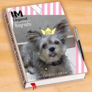 Meet your Posher, Quy ngan